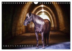 Shetlandpony Kalender (Wandkalender 2026 DIN A4 quer), CALVENDO Monatskalender
