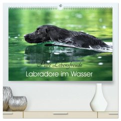 Cover Labradore im Wasser (hochwertiger Premium Wandkalender 2026 DIN A2 quer), Kunstdruck in Hochglanz