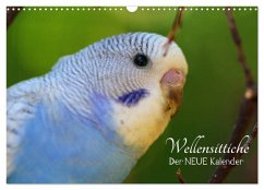 Wellensittiche - der NEUE Kalender (Wandkalender 2026 DIN A3 quer), CALVENDO Monatskalender Wellensittiche - der NEUE Kalender (Wandkalender 2026 DIN A3 quer), CALVENDO Monatskalender