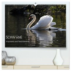Schwäne - imposant und faszinierend (hochwertiger Premium Wandkalender 2026 DIN A2 quer), Kunstdruck in Hochglanz