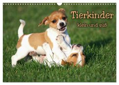 Tierkinder klein und süß (Wandkalender 2026 DIN A3 quer), CALVENDO Monatskalender