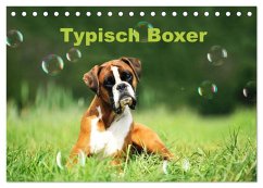 Typisch Boxer (Tischkalender 2026 DIN A5 quer), CALVENDO Monatskalender