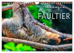 Abhängen - Faultier (Wandkalender 2026 DIN A4 quer), CALVENDO Monatskalender