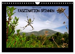 Faszination Spinnen (Wandkalender 2026 DIN A4 quer), CALVENDO Monatskalender Faszination Spinnen (Wandkalender 2026 DIN A4 quer), CALVENDO Monatskalender