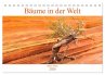 Bäume in der Welt (Tischkalender 2026... - Bild 1