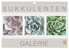 Sukkulenten Galerie (Wandkalender 2026 DIN A4 quer), CALVENDO Monatskalender Sukkulenten Galerie (Wandkalender 2026 DIN A4 quer), CALVENDO Monatskalender