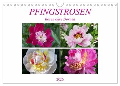 Cover PFINGSTROSEN Rosen ohne Dornen (Wandkalender 2026 DIN A4 quer), CALVENDO Monatskalender