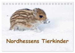 Cover Nordhessens Tierkinder (Tischkalender 2026 DIN A5 quer), CALVENDO Monatskalender
