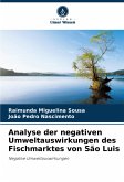 Analyse der negativen Umweltauswirkungen des Fischmarktes von São Luis Analyse der negativen Umweltauswirkungen des Fischmarktes von São Luis