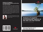Analysis of negative environmental impacts at the São Luis fish market