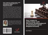 Sieci wsparcia spo¿ecznego osób starszych przebywaj¿cych w placówkach opieki d¿ugoterminowej Sieci wsparcia spo¿ecznego osób starszych przebywaj¿cych w placówkach opieki d¿ugoterminowej