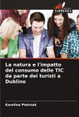 La natura e l'impatto del consumo delle TIC da parte dei turisti a Dublino La natura e l'impatto del consumo delle TIC da parte dei turisti a Dublino