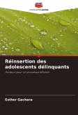 Réinsertion des adolescents délinquants