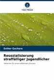 Resozialisierung straffälliger Jugendlicher