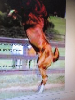Cover Adventures Of Gran Arian Expanding Domain (eBook, ePUB)