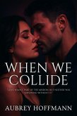 When We Collide (eBook, ePUB) When We Collide (eBook, ePUB)