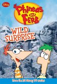 Phineas and Ferb: Wild Surprise (eBook, ePUB)
