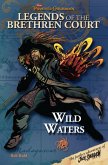 Pirates of the Caribbean: Legends of the Brethren Court: Wild Waters (eBook, ePUB)