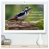 Heimische Gartenvögel - Gefiederte... - Bild 1
