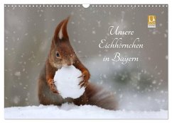 Cover Unsere Eichhörnchen in Bayern (Wandkalender 2026 DIN A3 quer), CALVENDO Monatskalender