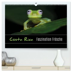 Costa Rica - Faszination Frösche (hochwertiger Premium Wandkalender 2026 DIN A2 quer), Kunstdruck in Hochglanz Costa Rica - Faszination Frösche (hochwertiger Premium Wandkalender 2026 DIN A2 quer), Kunstdruck in Hochglanz