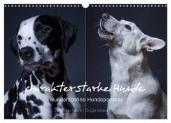 Cover charakterstarke Hunde, wunderschöne Hundeportraits (Wandkalender 2026 DIN A3 quer), CALVENDO Monatskalender
