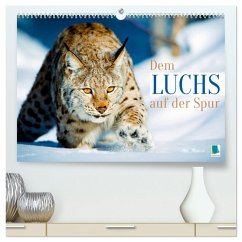 Dem Luchs auf der Spur (hochwertiger Premium Wandkalender 2026 DIN A2 quer), Kunstdruck in Hochglanz Dem Luchs auf der Spur (hochwertiger Premium Wandkalender 2026 DIN A2 quer), Kunstdruck in Hochglanz