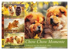 Chow Chow Momente. Fellpoesie aus dem Reich der Mitte (Wandkalender 2026 DIN A3 quer), CALVENDO Monatskalender Chow Chow Momente. Fellpoesie aus dem Reich der Mitte (Wandkalender 2026 DIN A3 quer), CALVENDO Monatskalender