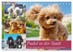 Pudel in der Stadt. Urbane Momente voller Charme und Lebensfreude (Tischkalender 2026 DIN A5 quer), CALVENDO Monatskalender