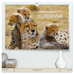 Wildes Leben in Botswana (hochwertiger Premium Wandkalender 2026 DIN A2 quer), Kunstdruck in Hochglanz