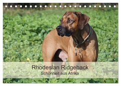Cover Rhodesian Ridgeback Schönheit aus Afrika (Tischkalender 2026 DIN A5 quer), CALVENDO Monatskalender