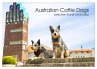 Australian Cattle Dogs zwischen Kunst... - Bild 1