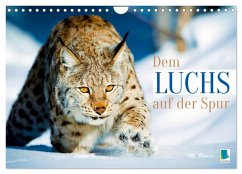 Dem Luchs auf der Spur (Wandkalender 2026 DIN A4 quer), CALVENDO Monatskalender Dem Luchs auf der Spur (Wandkalender 2026 DIN A4 quer), CALVENDO Monatskalender