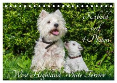 Kobold auf 4 Pfoten - West Highland White Terrier (Tischkalender 2026 DIN A5 quer), CALVENDO Monatskalender
