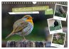 Gefiederte Freunde - Unsere heimischen... - Bild 1
