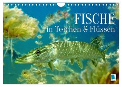 Fische in Teichen und Flüssen (Wandkalender 2026 DIN A4 quer), CALVENDO Monatskalender