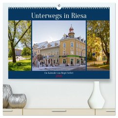 Unterwegs in Riesa (hochwertiger Premium Wandkalender 2026 DIN A2 quer), Kunstdruck in Hochglanz