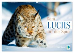 Dem Luchs auf der Spur (Wandkalender 2026 DIN A2 quer), CALVENDO Monatskalender Dem Luchs auf der Spur (Wandkalender 2026 DIN A2 quer), CALVENDO Monatskalender