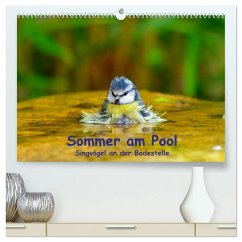 Sommer am Pool - Singvögel an der Badestelle (hochwertiger Premium Wandkalender 2026 DIN A2 quer), Kunstdruck in Hochglanz