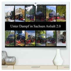 Unter Dampf in Sachsen Anhalt 2.0 (hochwertiger Premium Wandkalender 2026 DIN A2 quer), Kunstdruck in Hochglanz Unter Dampf in Sachsen Anhalt 2.0 (hochwertiger Premium Wandkalender 2026 DIN A2 quer), Kunstdruck in Hochglanz