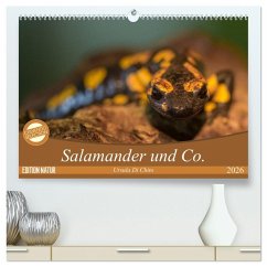 Salamander und Co. (hochwertiger Premium Wandkalender 2026 DIN A2 quer), Kunstdruck in Hochglanz Salamander und Co. (hochwertiger Premium Wandkalender 2026 DIN A2 quer), Kunstdruck in Hochglanz