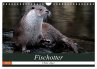 Fischotter, flinke Jäger (Wandkalender... - Bild 1
