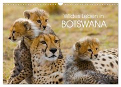 Cover Wildes Leben in Botswana (Wandkalender 2026 DIN A3 quer), CALVENDO Monatskalender