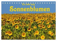 Cover Ein Jahr lang Sonnenblumen (Tischkalender 2026 DIN A5 quer), CALVENDO Monatskalender
