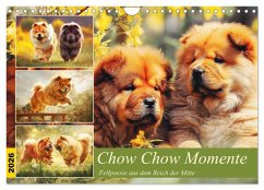 Chow Chow Momente. Fellpoesie aus dem Reich der Mitte (Wandkalender 2026 DIN A4 quer), CALVENDO Monatskalender Chow Chow Momente. Fellpoesie aus dem Reich der Mitte (Wandkalender 2026 DIN A4 quer), CALVENDO Monatskalender