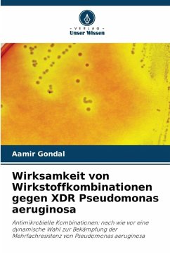 Cover Wirksamkeit von Wirkstoffkombinationen gegen XDR Pseudomonas aeruginosa