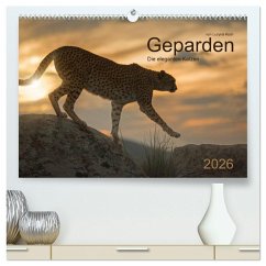 Geparden. Die eleganten Katzen. (hochwertiger Premium Wandkalender 2026 DIN A2 quer), Kunstdruck in Hochglanz
