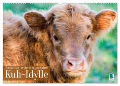 Cover Kuh-Idylle: Suchen Sie die Ruhe in der Natur? (Wandkalender 2026 DIN A2 quer), CALVENDO Monatskalender