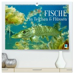 Fische in Teichen und Flüssen (hochwertiger Premium Wandkalender 2026 DIN A2 quer), Kunstdruck in Hochglanz Fische in Teichen und Flüssen (hochwertiger Premium Wandkalender 2026 DIN A2 quer), Kunstdruck in Hochglanz