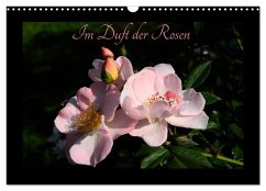 Im Duft der Rosen (Wandkalender 2026 DIN A3 quer), CALVENDO Monatskalender